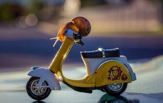 Wallpaper Road Macro Light Background Street Toy Snail