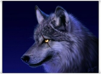 Injured Wolf Animated Desktop Wallpaper