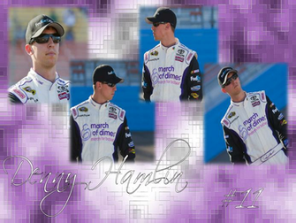 Denny Hamlin Background Wallpaper