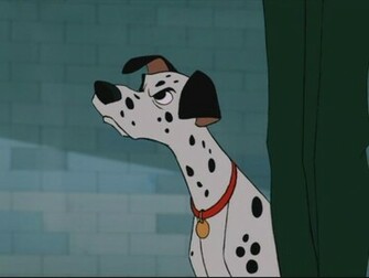 Dalmatians Image Wallpaper Photos