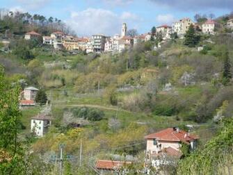 Italian Countryside Allie