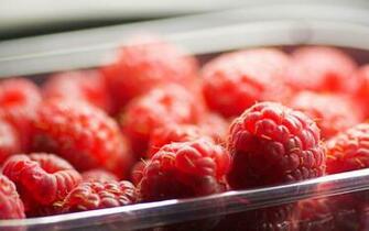 By Admin Comments Off On Berries And Fruits Nuts Wallpaper