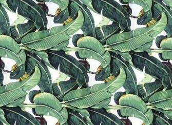 Banana Leaf Chic A Beach Day