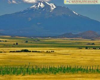 California Wine Magazine Wallpaper