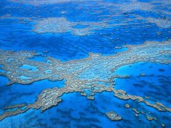 Great Barrier Reef Australia Wallpaper