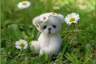 Puppy Cute Wallpaper Desktop Wallpapertube