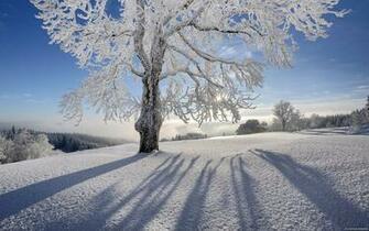Image Related To Winter Desktop Moon
