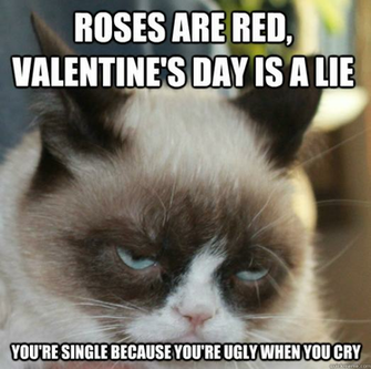 Grumpy Cat Memes Funny