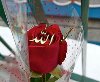 Top World Beautiful Wallpaper Allah Name