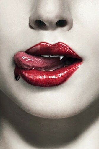 True Blood HD Wallpaper iPhone4