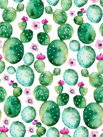 Cactus Fubiz Media