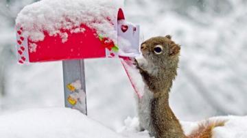 Funny And Interesting New Image Photos