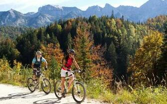 Mountain Bike Action Wallpaper