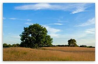 Late Summer HD Desktop Wallpaper High Definition Fullscreen
