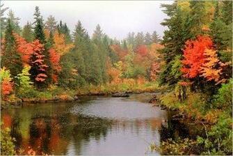 Fall Jpg