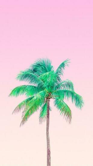 Best Summer Wallpaper Ideas Screensaver