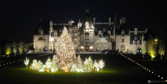 Biltmore Estate Christmas Tree