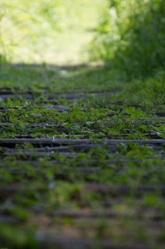 Way Of Life By Cedric Buisson On 500px Place In