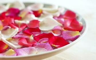 Spa Beauty Treatments Therapy Wallpaper Wallcoo Net