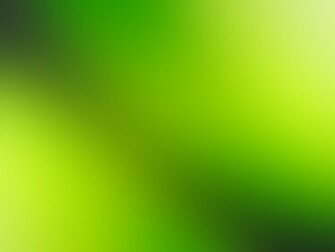 Lime Wallpaper By Scaloperion