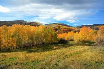 High Definition Wallpaper Photo Desktop Html