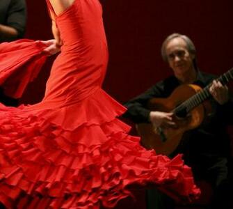 Flamenco Wallpaper