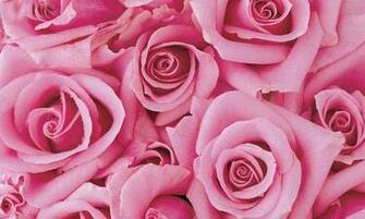 Pink Wallpaper For Laptop Jpg