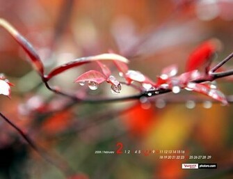 Yahoo Wallpaper Desktop In HD