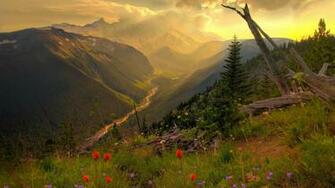 High Quality Nature Wallpaper Splendid HD