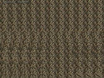 Source Url Funny Pictures Feedio Net Stereogram Wallpaper