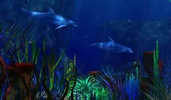 Dolphins 3d Wallpaper