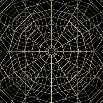 Set Of Spider Web Vector Background