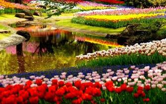 Spring Garden Wallpaper