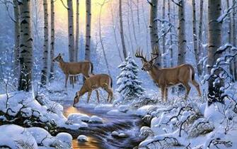 Beautiful Wallpaper Deer