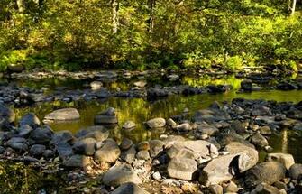 River Rocks Wallpaper