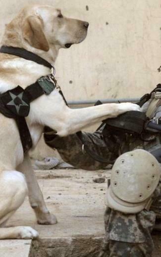 Soldiers