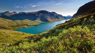 These Are The Natural Wallpaper 4k UHD Very Clearly Bring