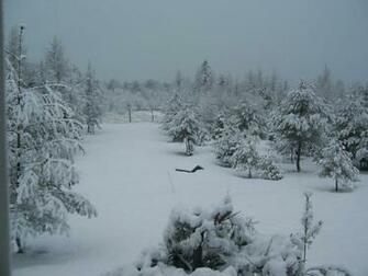 Snow Storm Winter Wallpaper
