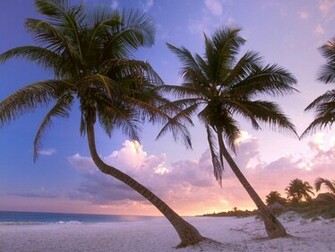 Jamaica Beach Wallpaper Which Is Under The