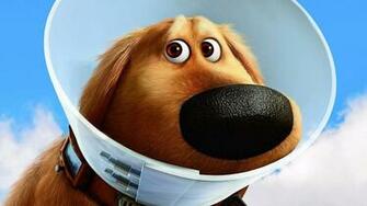 Up Dog HD Wallpaper FullHDwpp Full