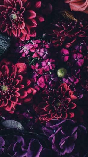Red Flowers Wallpaper Lockscreen H Bsche Tapeten iPad