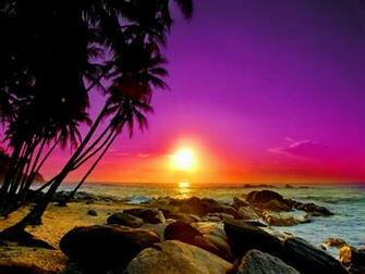Tropical Sunset Wallpaper