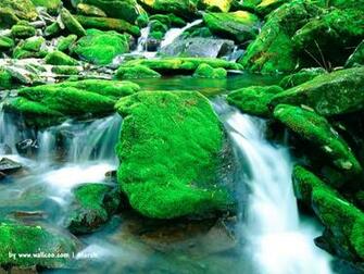 Early Spring Scene Wallpaper No