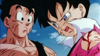 Videl Wallpaper