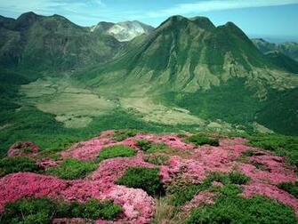 Mountain Valleys Wallpaper Green Range