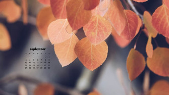September Wallpaper Bies For Desktop Phones