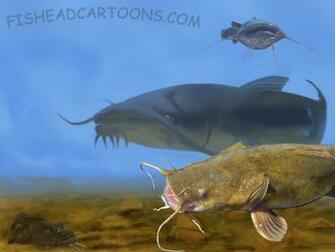 Catfish Wallpaper Cake Ideas And Designs