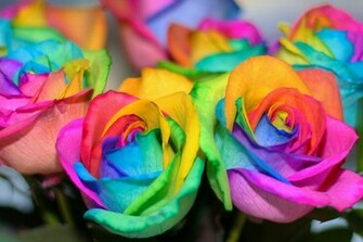 Rainbow01