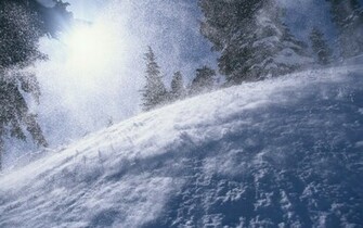 Winter Landscape Wallpaper