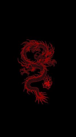 Tokyo Japan Dragon Wallpaper Awesome HD